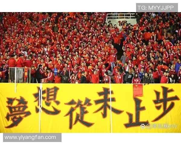 世锦赛精彩回顾：北京足球队展现卓越团队协作精神与战术配合