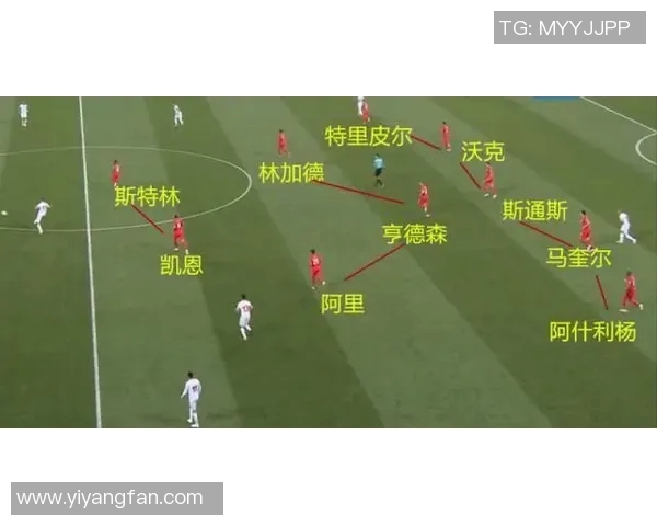 成都排球队的战术演变与深度分析探秘排球转换的奥秘