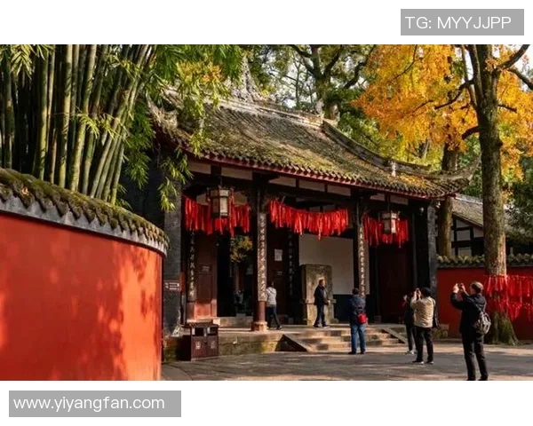 北京羽毛球队状态卓越领跑最新羽毛球TOP10榜单分析