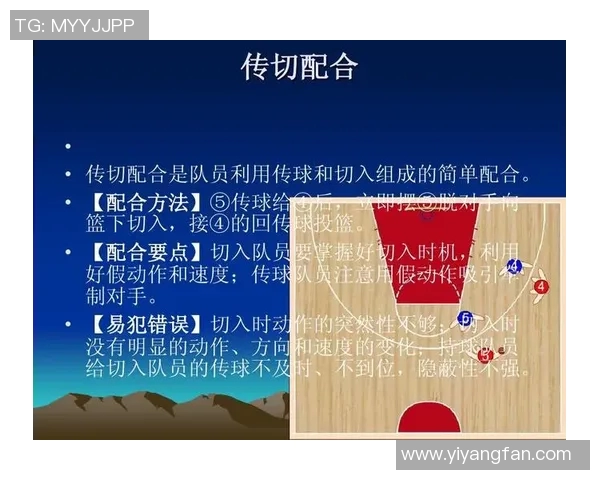 杭州篮球队的战术变革与球队深度解析之路