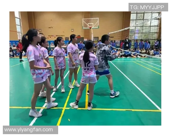 排球盛宴：深入杭州排球队的速度与激情之旅