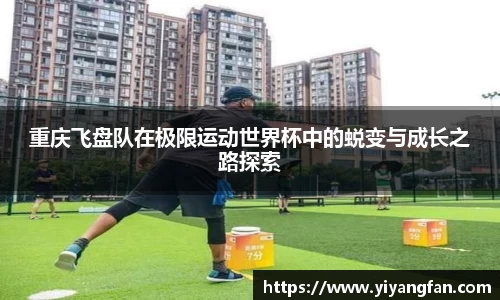 NG28南宫