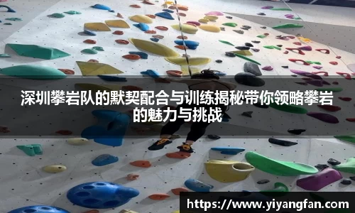 南宫NG28