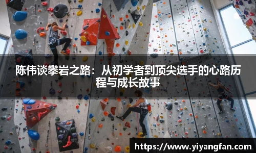 陈伟谈攀岩之路：从初学者到顶尖选手的心路历程与成长故事